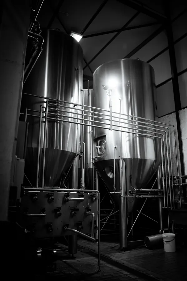 Conical fermenters in the cellar