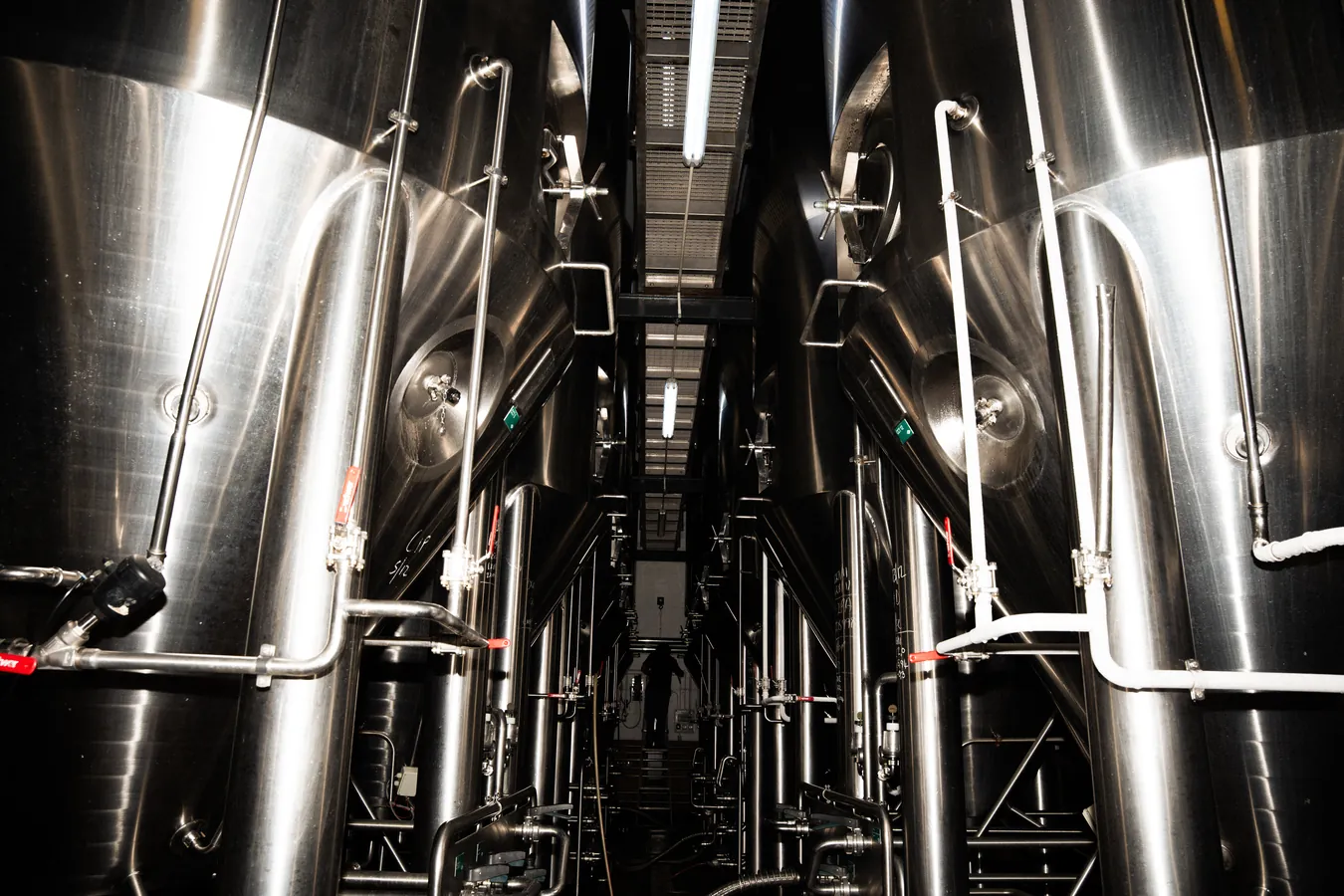 The row of fermentation tanks