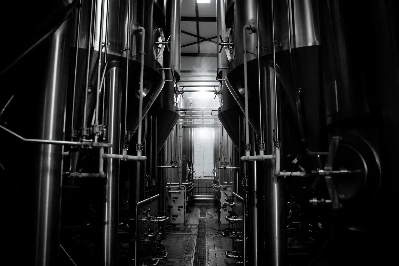 Between the tanks in the cellar