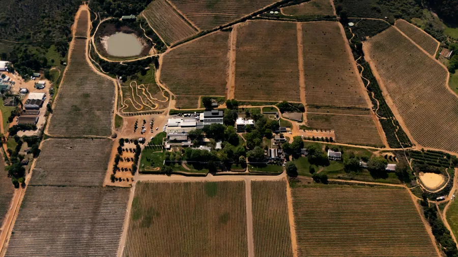 Spice Route Farm from above, the brewery among the vineyards at the foot of Paarl mountain