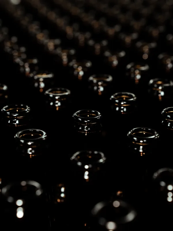 Rows of empty bottles waiting to be filled